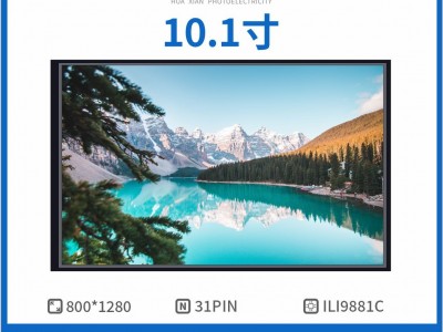 10.1寸 LCD液晶屏模组TFT屏数码屏工控屏车载屏图2