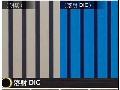 尼康NIKON显微镜图1