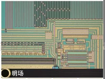 尼康NIKON显微镜图2