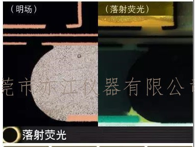 尼康NIKON显微镜图3